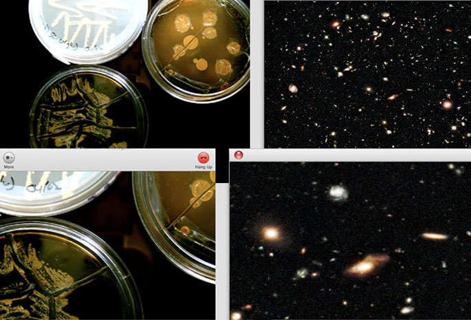Petri dishes and an expanding universe